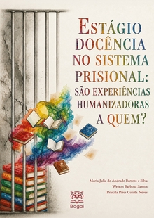 EDUCAÇÃO E ESTÁGIO NO SISTEMA PRISIONAL: Um processo de significação a quem?
